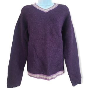 NWOT American Eagle purple V-neck Shetland wool sweater Womens Medium